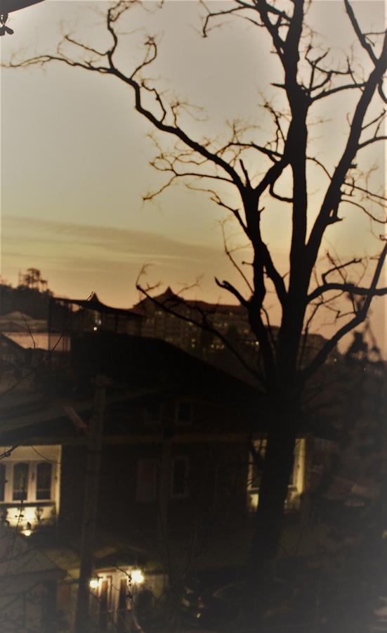 Prakash Cottage Shimla Exterior foto